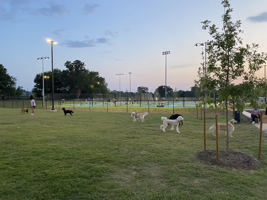 Northwest County Dog Park photo 2